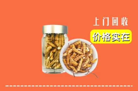 收购资讯:雅安汉源县回收散虫草