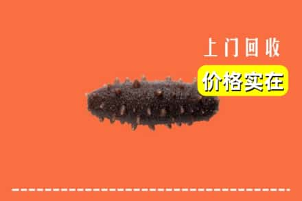 收购资讯:雅安汉源县回收海参
