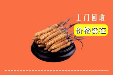 雅安汉源县回收冬虫夏草